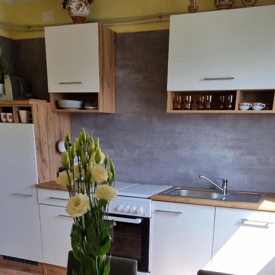 Apartma Tanja -カムニーク エクステリア 写真