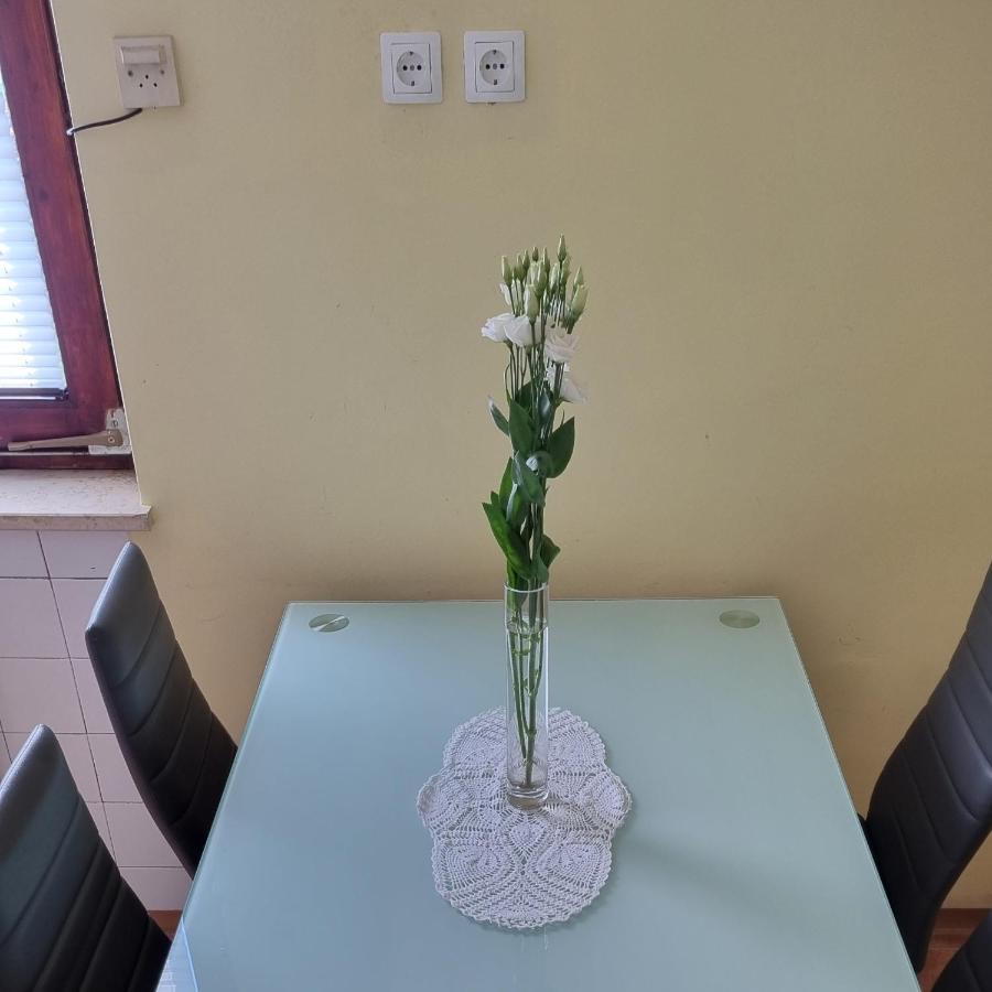 Apartma Tanja -カムニーク エクステリア 写真